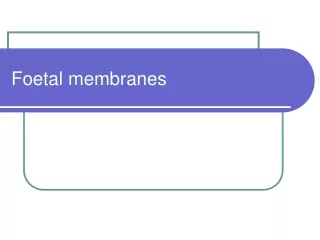Foetal membranes