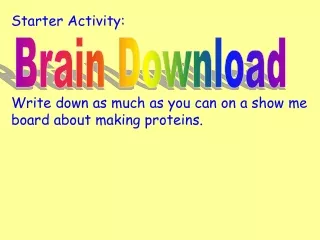 Starter Activity: Write down as much as you can on a show me board about making proteins.
