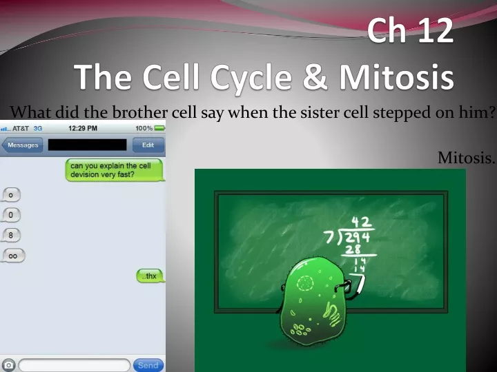 ch 12 the cell cycle mitosis
