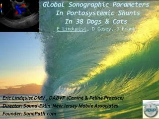 Eric Lindquist DMV , DABVP (Canine &amp; Feline Practice)