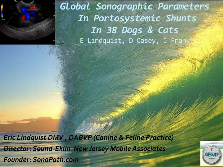 global sonographic parameters in portosystemic shunts in 38 dogs cats e lindquist d casey j frank