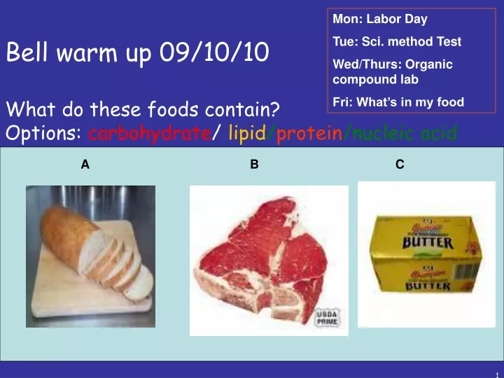 bell warm up 09 10 10 what do these foods contain options carbohydrate lipid protein nucleic acid
