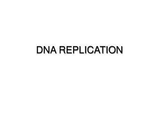 DNA REPLICATION