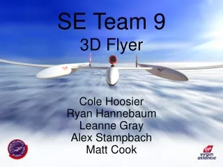 SE Team 9 3D Flyer