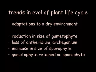 trends in evol of plant life cycle
