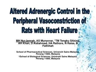 Altered Adrenergic Control in the  Peripheral Vasoconstriction of  Rats with Heart Failure
