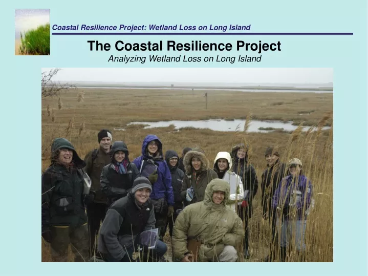 coastal resilience project wetland loss on long
