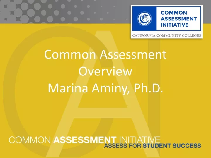 common assessment overview marina aminy ph d