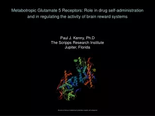 Metabotropic Glutamate 5 Receptors: Role in drug self-administration
