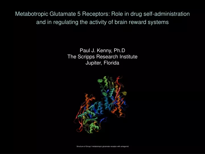 metabotropic glutamate 5 receptors role in drug