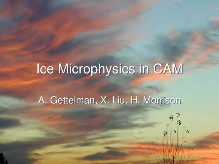 ice microphysics in cam