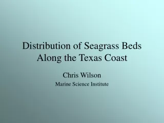 Distribution of Seagrass Beds Along the Texas Coast