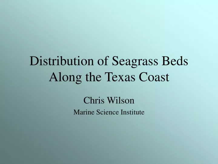 distribution of seagrass beds along the texas coast