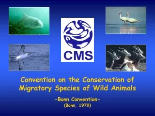 Convention on the Conservation of  Migratory Species of Wild Animals