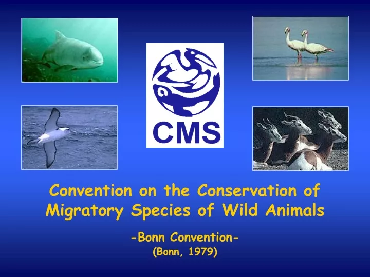 convention on the conservation of migratory