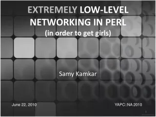 EXTREMELY  LOW-LEVEL NETWORKING IN PERL (in order to get girls)
