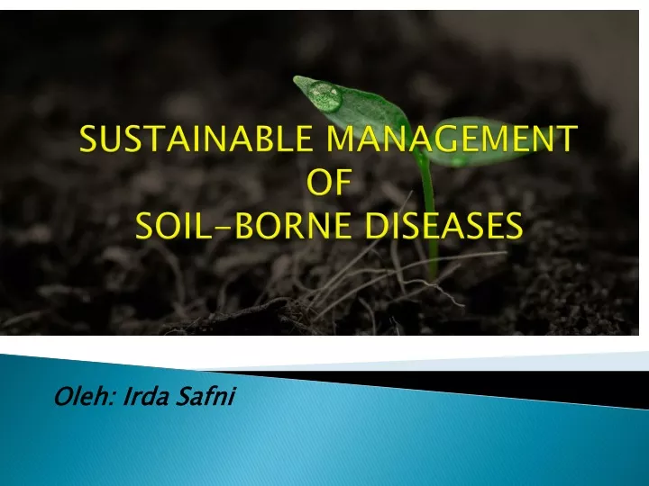 sustainable management of soil borne diseases