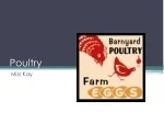 Understanding Poultry: Key Concepts and Management of Chickens - slide 1