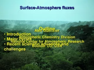 Surface-Atmosphere fluxes