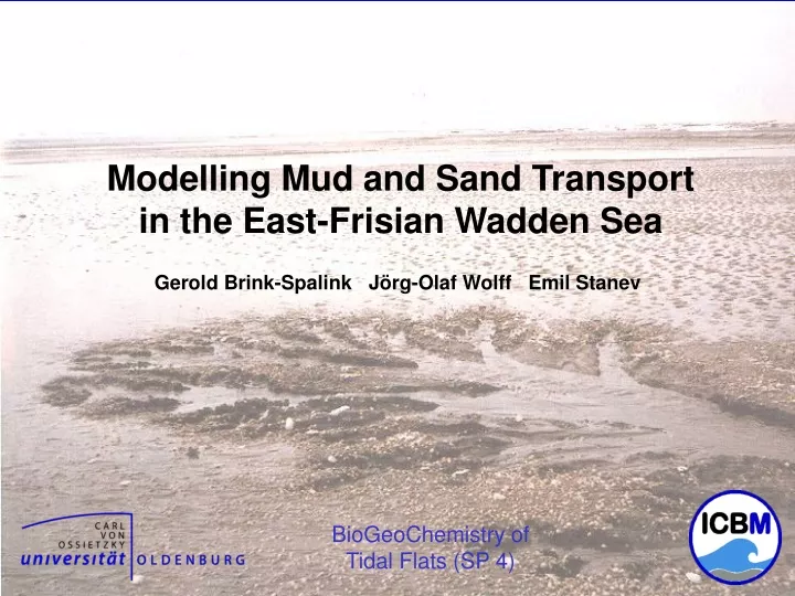 modelling mud and sand transport in the east