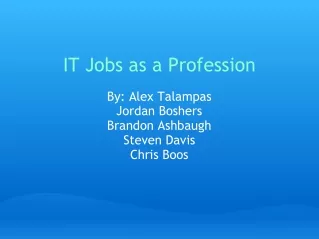 IT Jobs as a Profession