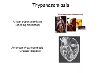 Trypanosomiasis