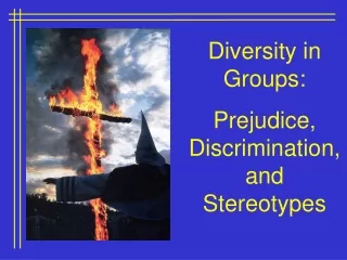 Diversity in Groups:  Prejudice, Discrimination, and Stereotypes