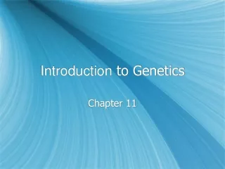 Introduction  to Genetics