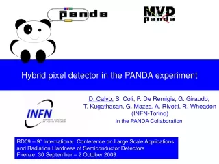 Hybrid pixel detector in the PANDA experiment
