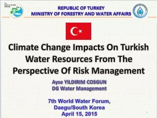 REPUBLIC OF TURKEY  MINISTRY OF FORESTRY AND WATER AFFAIRS