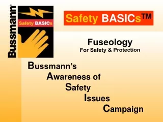 Safety BASIC s TM