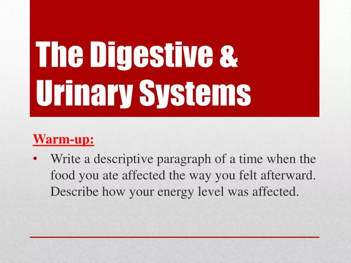 the digestive urinary systems