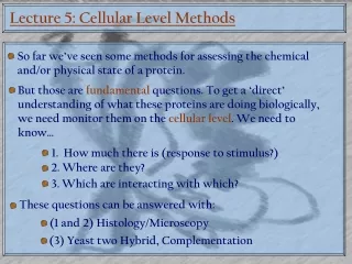 Lecture 5: Cellular Level Methods