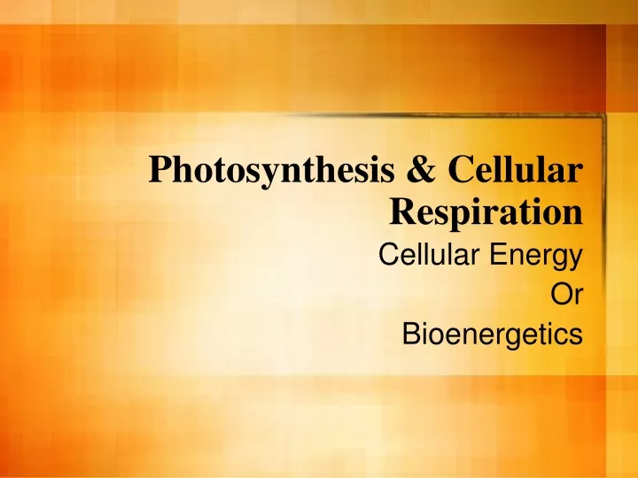photosynthesis cellular respiration