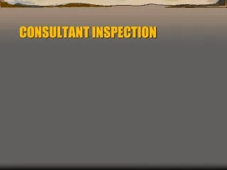 CONSULTANT INSPECTION