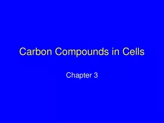Carbon Compounds in Cells