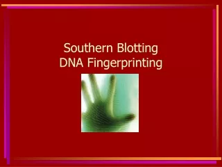 Southern Blotting  DNA Fingerprinting