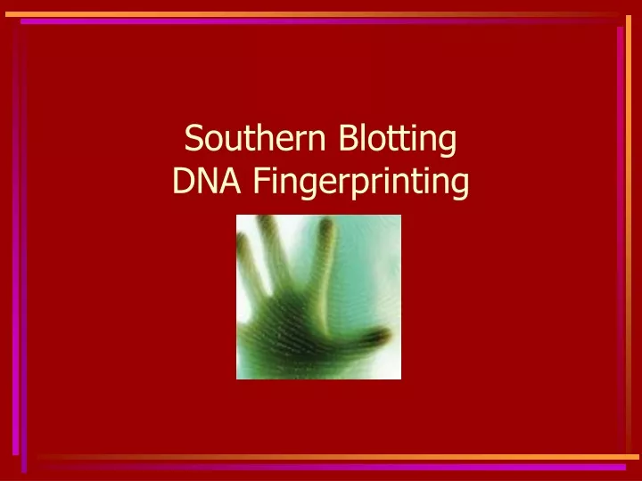 southern blotting dna fingerprinting