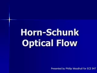 Horn-Schunk Optical Flow