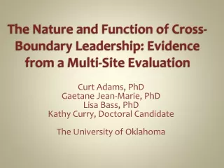 The Nature and Function of Cross-Boundary Leadership: Evidence from a Multi-Site Evaluation