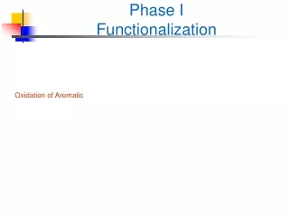 Phase I Functionalization