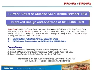 Current Status of Chinese Solid Tritium Breeder TBM