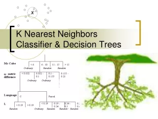 K Nearest Neighbors Classifier &amp; Decision Trees