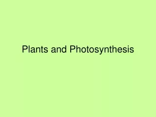 Plants and Photosynthesis