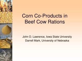 Corn Co-Products in  Beef Cow Rations