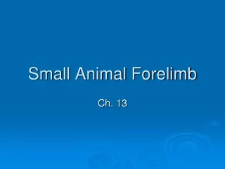 Small Animal Forelimb