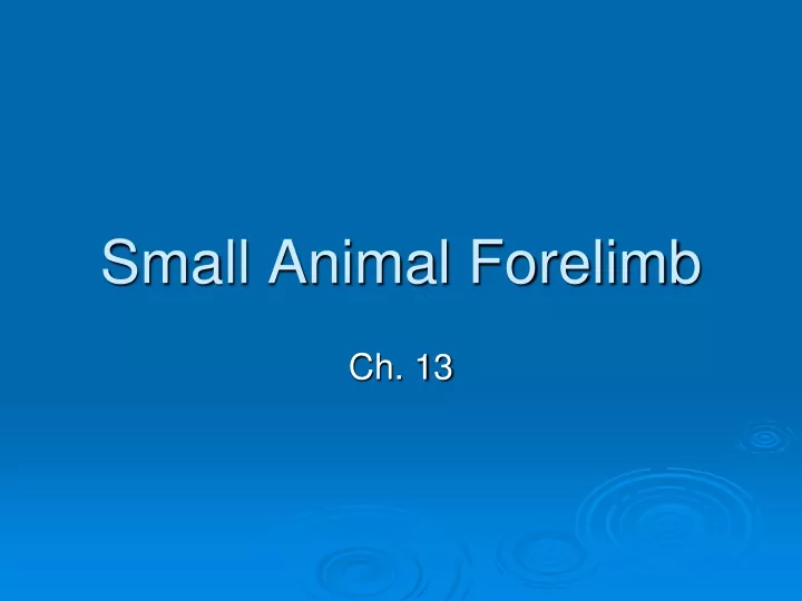 small animal forelimb