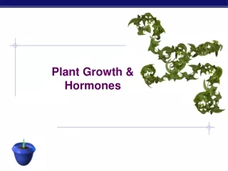 Plant Growth &amp; Hormones