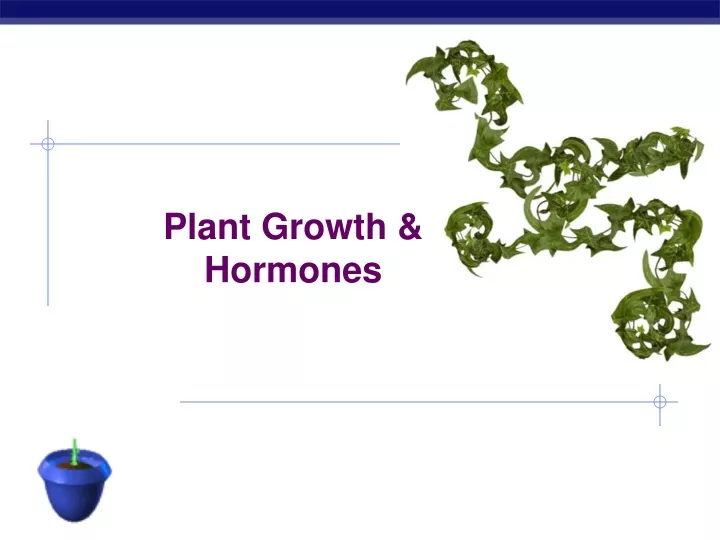 plant growth hormones