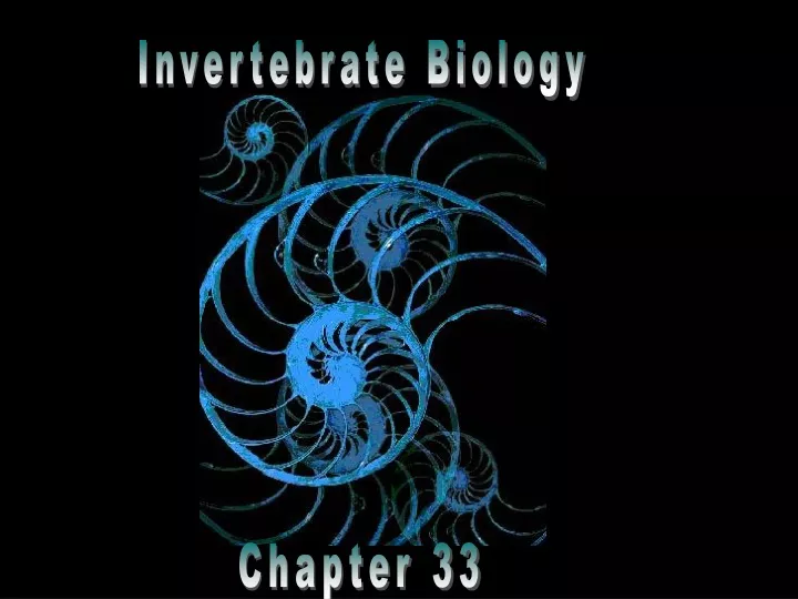 invertebrate biology